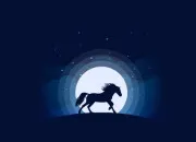 Quiz Les races de chevaux