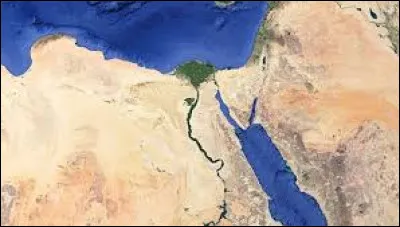 Le plus long fleuve du monde est le Nil.