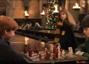 Test Qui es-tu dans ''Harry Potter '' ?(Version filles)