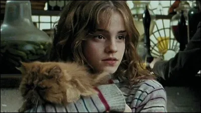 Quel animal de compagnie aurais-tu ?