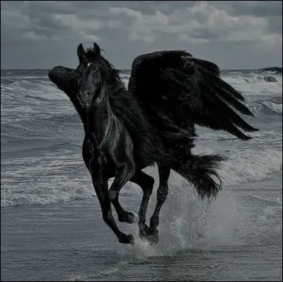 B  Je suis le cheval noir ailé fidèle à Percy.
