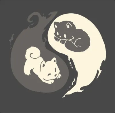 Selon vous, lignorance est-elle vraiment un bonheur ?