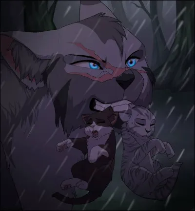 De quelle couleur sont tes yeux ?