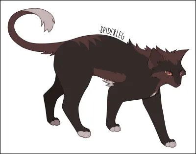 Penses-tu avoir une facette de Patte d'Araignée ?