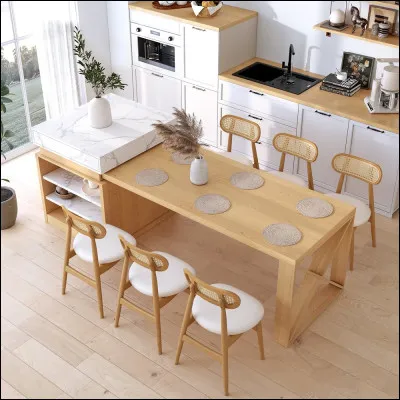 Je servais à appeler les domestiques dans les grandes maisons bourgeoises. On me tirait et un petit son retentissait dans la cuisine. Je suis...