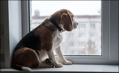 Tu es en cours et tu tennuies, que fais-tu ?