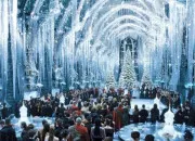 Test Test ton compagnon et ta robe de soire pour le bal de Nol dans ''Harry Potter''