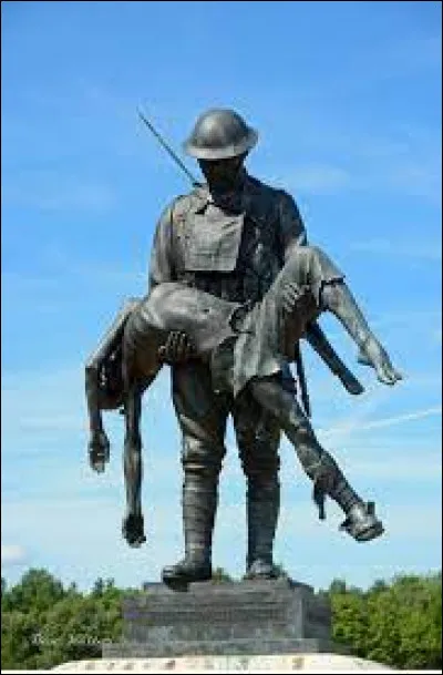 De quelle nationalité est la « division Arc-en-ciel » ?