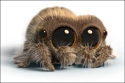 Quelle est ta pire peur ? (Partie 2)