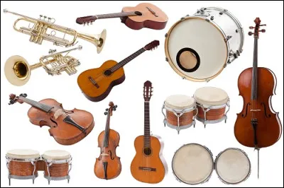 Lequel n'est PAS un instrument à vent ?