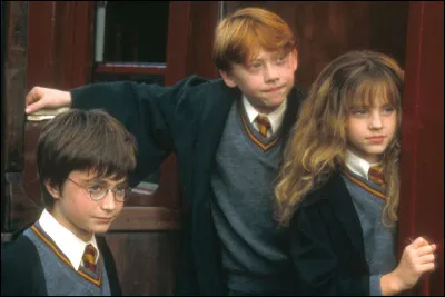 Quel serait ton cours préféré à Poudlard ?