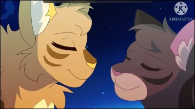 Qui a quelqu'un de sa famille qui est guérisseur ou guérisseuse ?