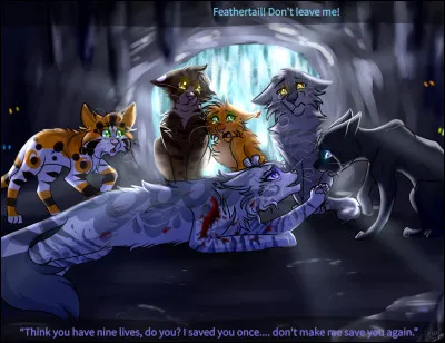 Où se situe leur camp ?