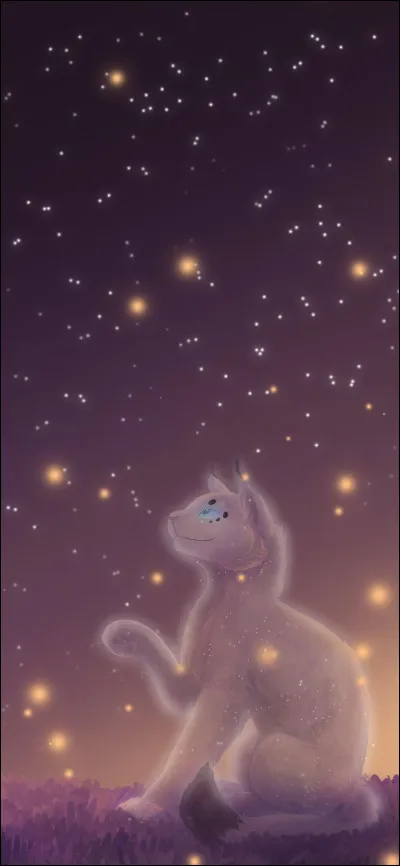 Comment le Conteur ou la Conteuse (qui est à la fois chef et guérisseur) reçoit les prophéties ?