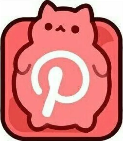 Quelle est cette application ?