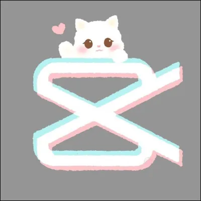 Quelle est cette application ?