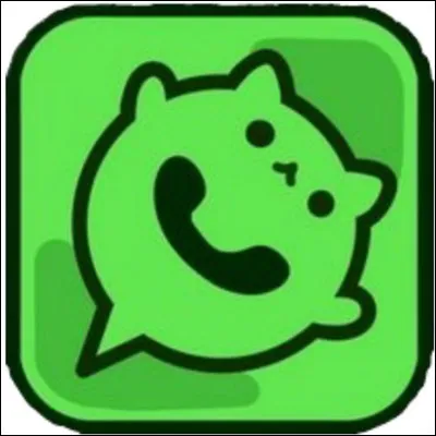 Quelle est cette application ?