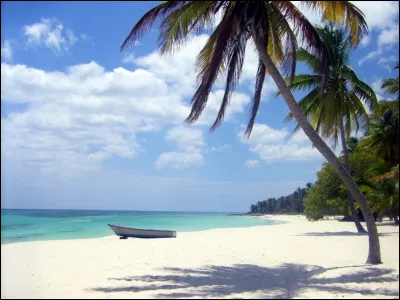 Si tu devais partir en vacances tu irais :