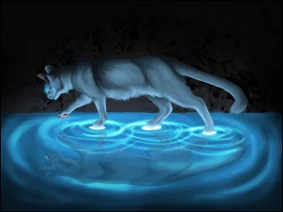 Salut et bienvenue sur ce quiz ! Enfin, commençons.

Qui, parmi ceux-ci, a du lien de sang avec Lune Bleue ?