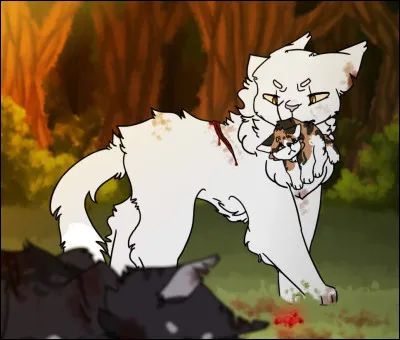 Qui sont les chatons de ce Tornade Blanche ?