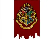 Test Qui es-tu dans ''Harry Potter'' ?