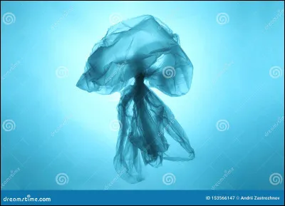 Quel animal est souvent en danger à cause des sacs plastiques dans leau ?
