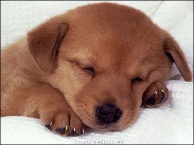 Aimes-tu cette image ? # 1