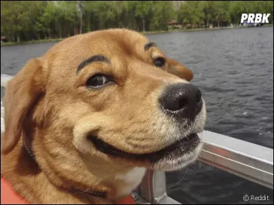 Aimes-tu cette image ? # 2