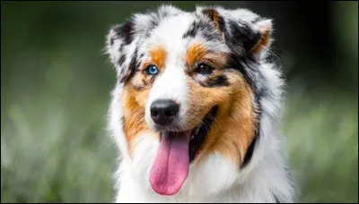 Aimes-tu cette image ? # 3