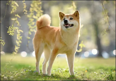 Quelle couleur préfères-tu ? (1)