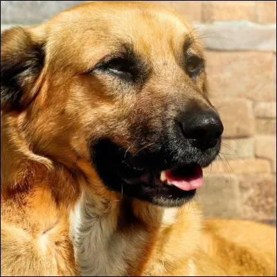 Quelle couleur préfères-tu ? (2)