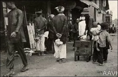 En quelle année Balto est-il né ?