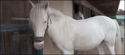 Quelle est cette robe ?