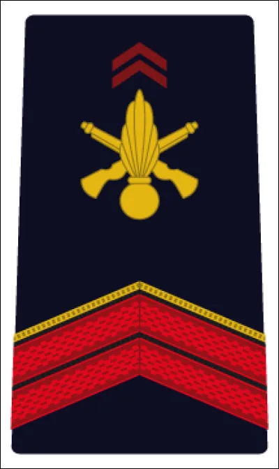 Qui a découvert Terre-Neuve ?