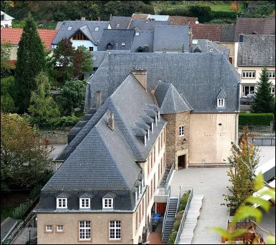 Le Dévonien est une période du...