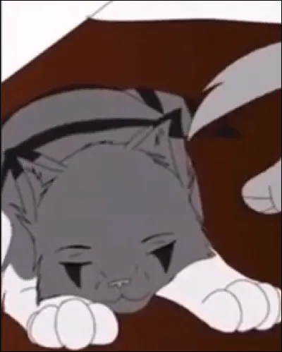 La femelle peut avoir combien de portées par ans ?