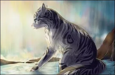 Quand les chats se reproduisent-ils ?