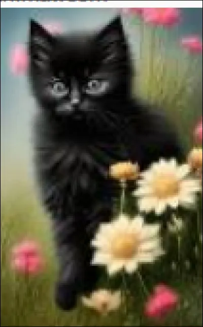 Le petit du chat s'appelle...