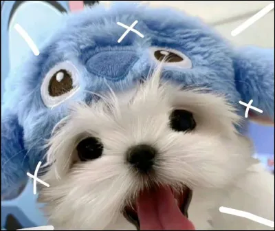 Quel mot te correspond le mieux ?