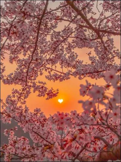 Ta plus grande force est :