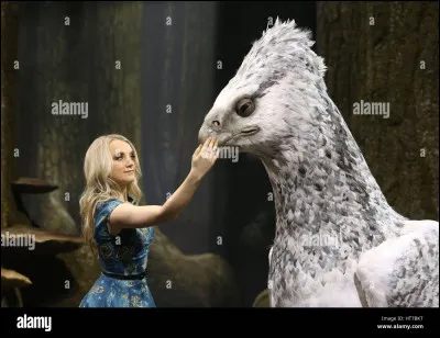 Comment s’appelle l'hippogriffe qui a attaqué Drago et qui sera condamné par la suite ?