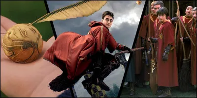 Contre quelle maison Harry a-t-il perdu au quidditch lors sa troisième année ?