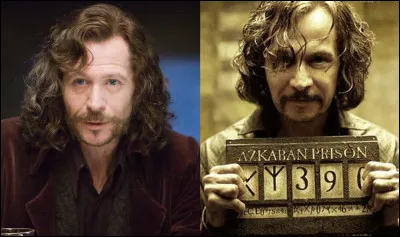 Quel animal est lanimagus de Sirius Black ?