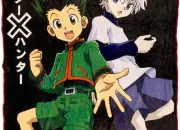 Test Es-tu plus Gon ou Killua ?
