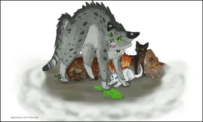 Apprécies-tu les gens comme Tornade Blanche ?