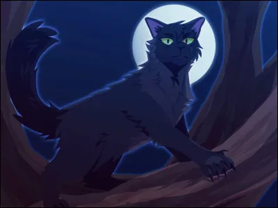 Tu te lèves, lors de la semaine...