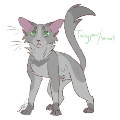 Quel pelage préfères-tu ?