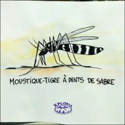 Par Toutatis, quel animal voyons-nous pour la première fois dans "Le Combat des chefs", la série Netflix ?