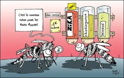 Mon premier est têtu, mon second peut avoir des gestes désordonnés, mon troisième est une chaîne de télé, mon tout est VRP !