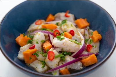 D'où provient le ceviche ?